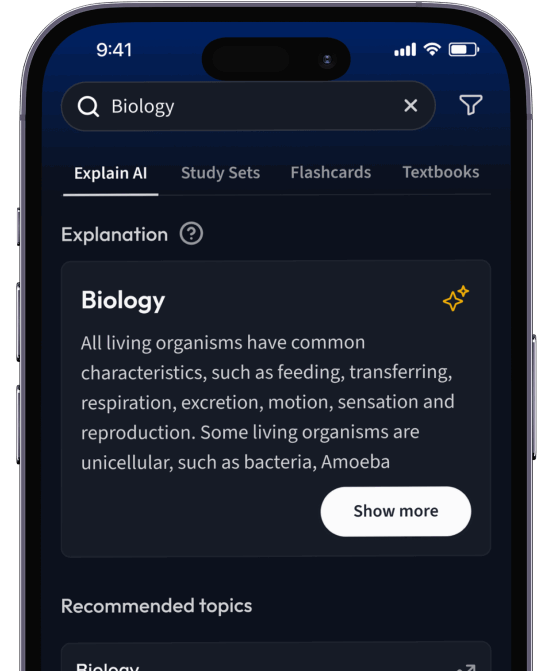 AI explanations